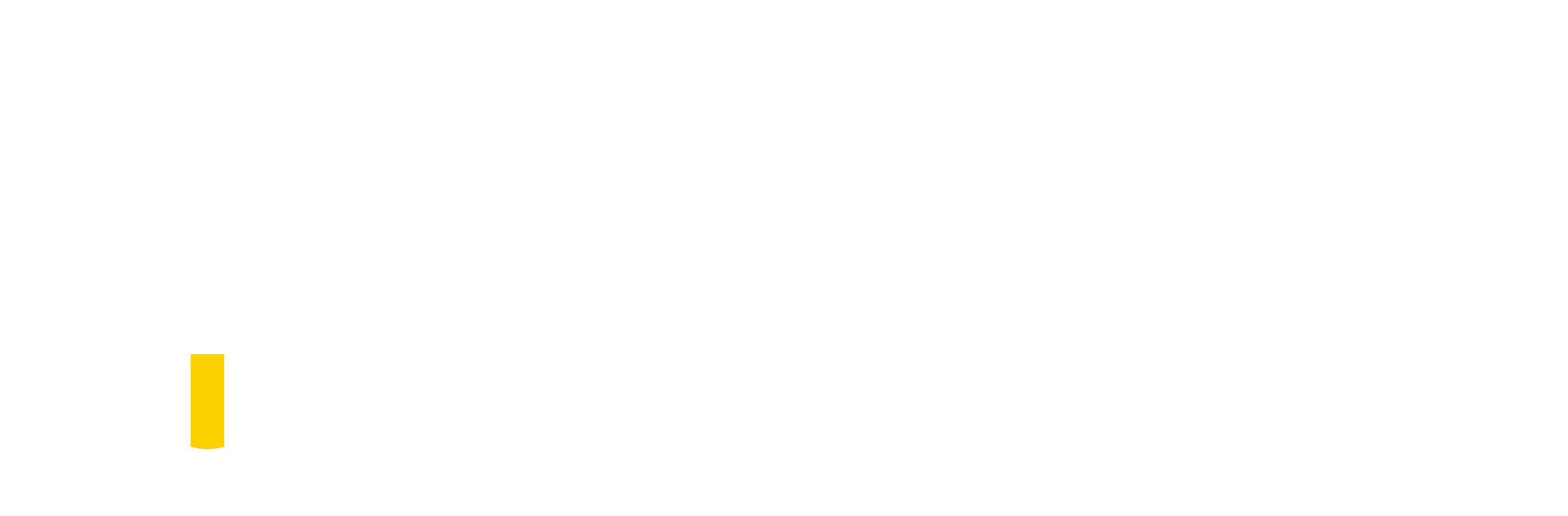 镖旗快运